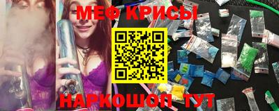 мет Кингисепп