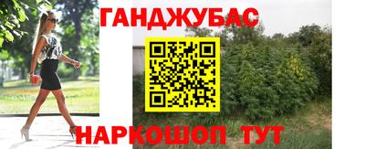 мет Кингисепп