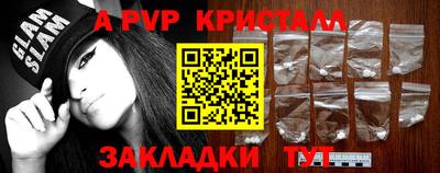 мет Кингисепп