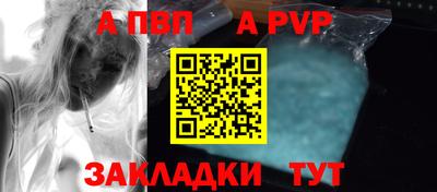 мет Кингисепп