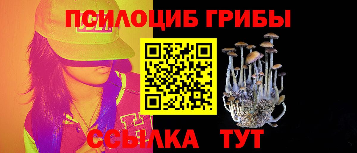 Галлюциногенные грибы MAGIC MUSHROOMS  Вход с VPN  Шадринск 